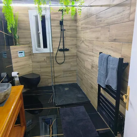 Bed & Breakfast Vegetal Jungle 3*