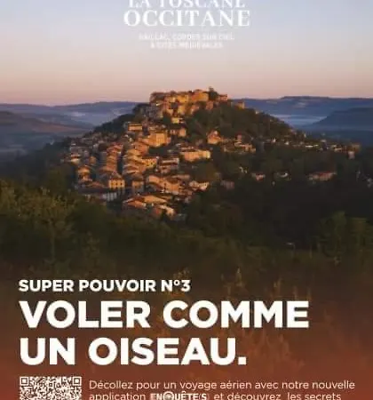 Vegetal Jungle Blaye-Les-Mines