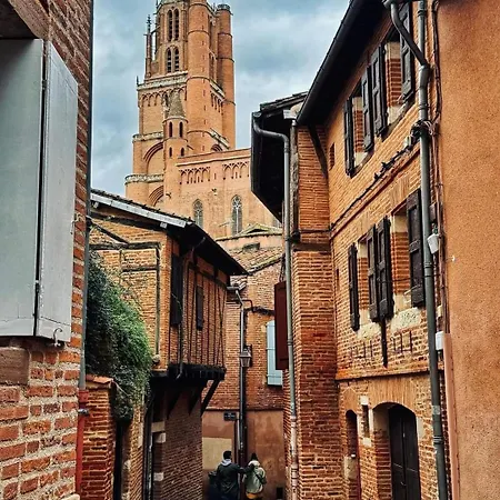 Vegetal Jungle Bed & Breakfast