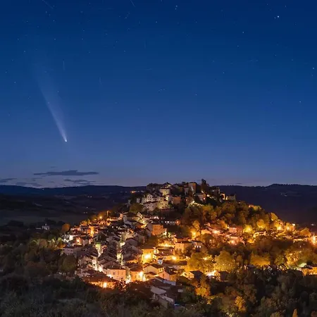 Vegetal Jungle Bed & Breakfast Blaye-Les-Mines