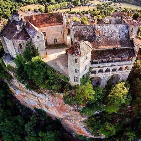 Vegetal Jungle Blaye-Les-Mines