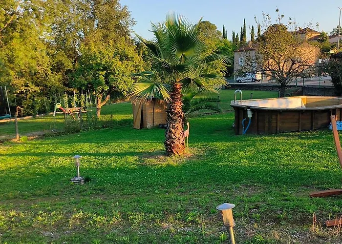 Vegetal Jungle Blaye-Les-Mines