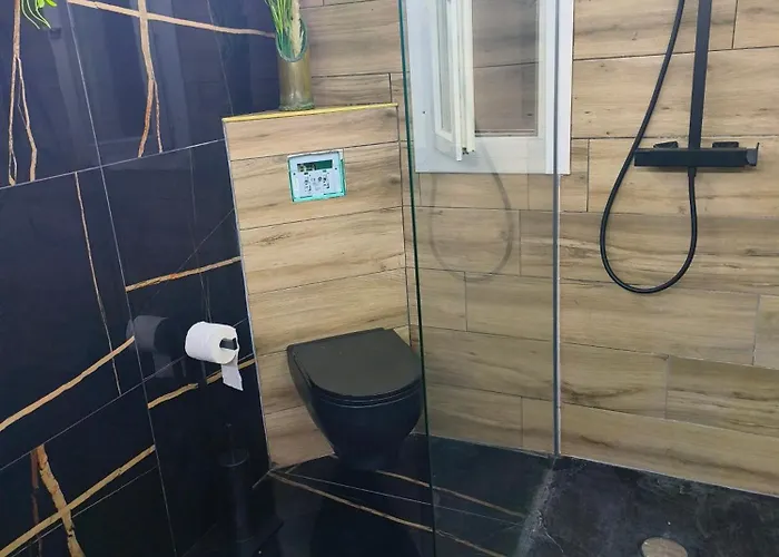 Bed & Breakfast Vegetal Jungle 3*