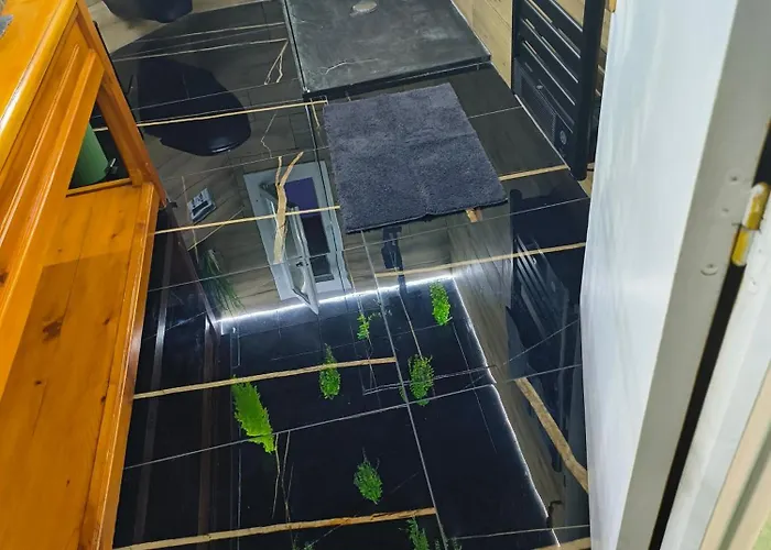 Vegetal Jungle Bed & Breakfast Blaye-Les-Mines