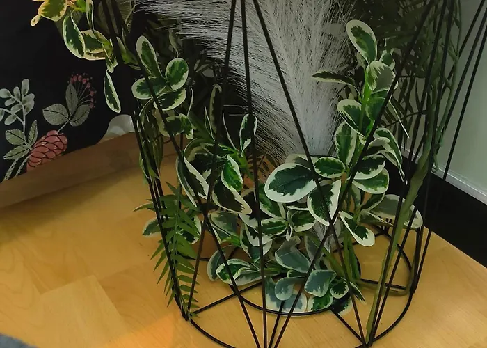 Bed & Breakfast Vegetal Jungle Blaye-Les-Mines