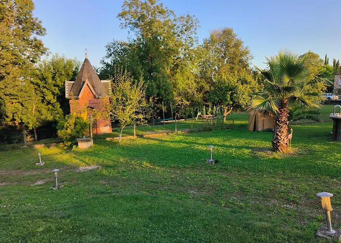 Vegetal Jungle Blaye-Les-Mines