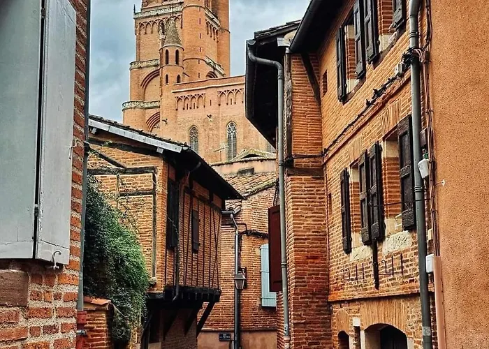 Vegetal Jungle Bed & Breakfast