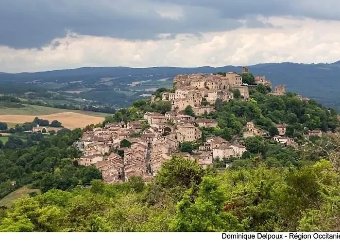 Bed & Breakfast Vegetal Jungle