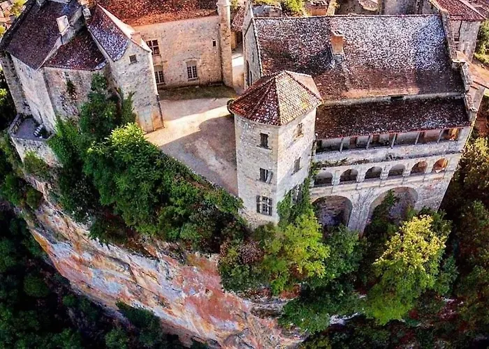 Vegetal Jungle Blaye-Les-Mines