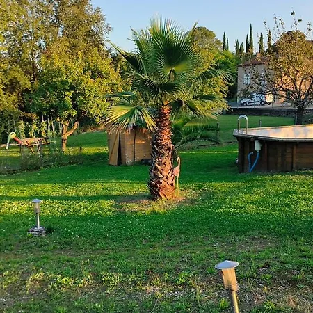 Vegetal Jungle Blaye-Les-Mines