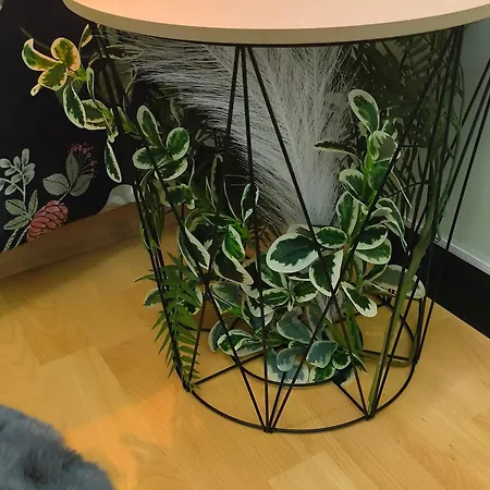 住宿加早餐酒店 Vegetal Jungle Blaye-Les-Mines