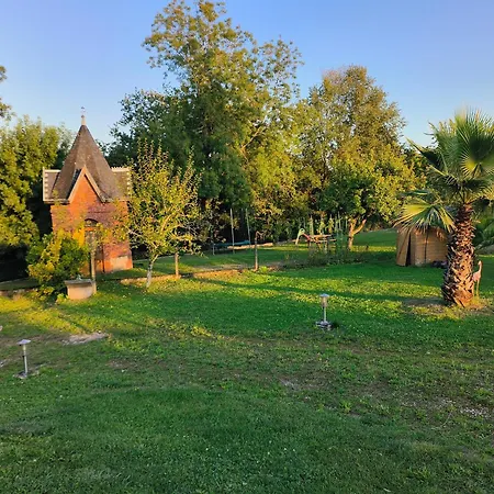 Vegetal Jungle Blaye-Les-Mines