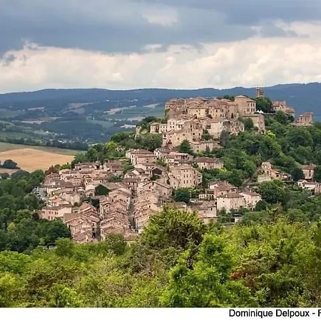 住宿加早餐酒店 Vegetal Jungle
