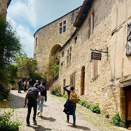 住宿加早餐酒店 Vegetal Jungle